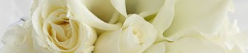 rose-calla-bouquet.jpg